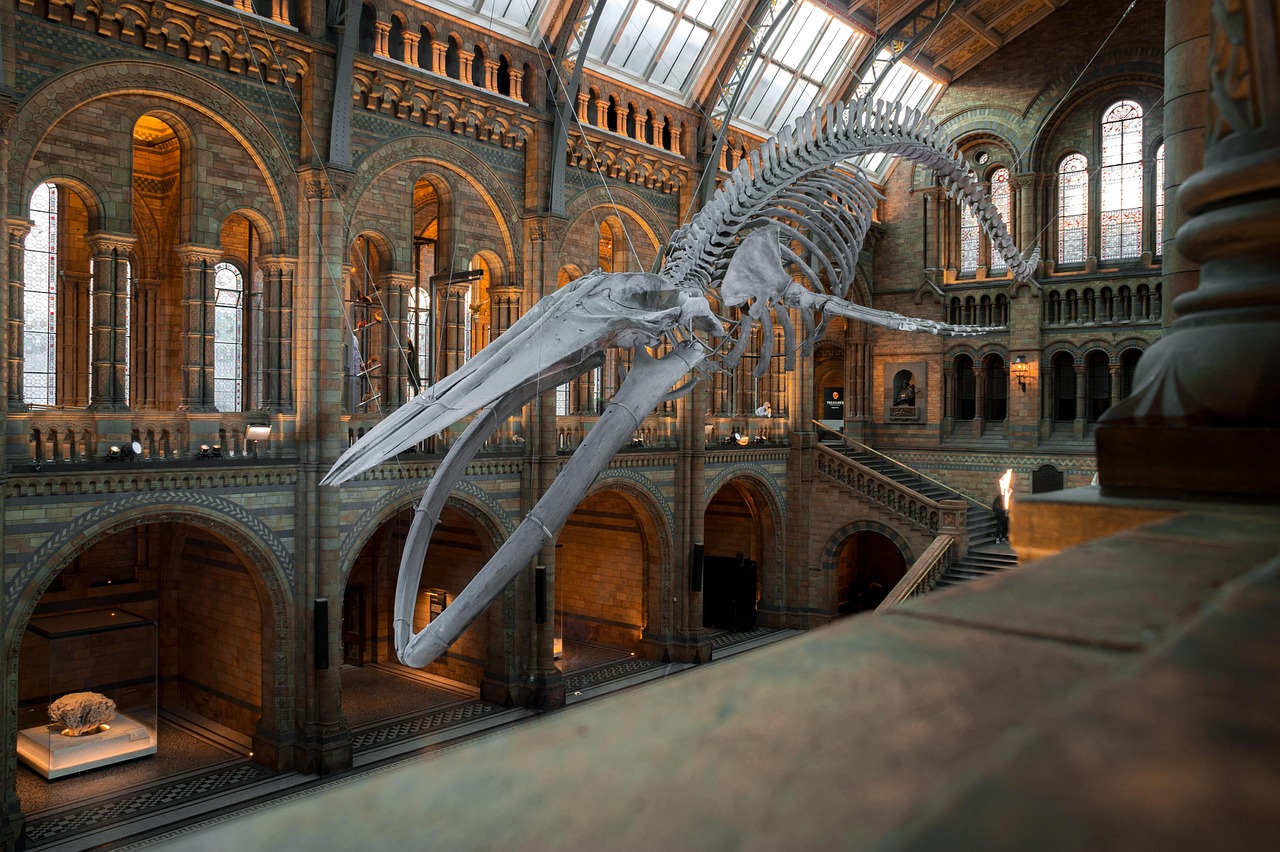 découvrez une sélection de musées adaptés aux familles, proposant des expositions interactives et des activités ludiques pour petits et grands. idéal pour apprendre et s’amuser en famille toute l’année !