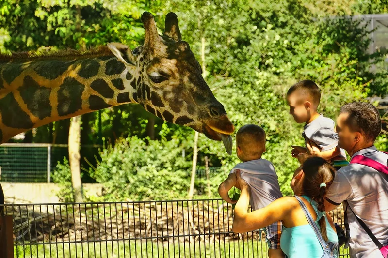 Conseils pour choisir son zoo selon son profil