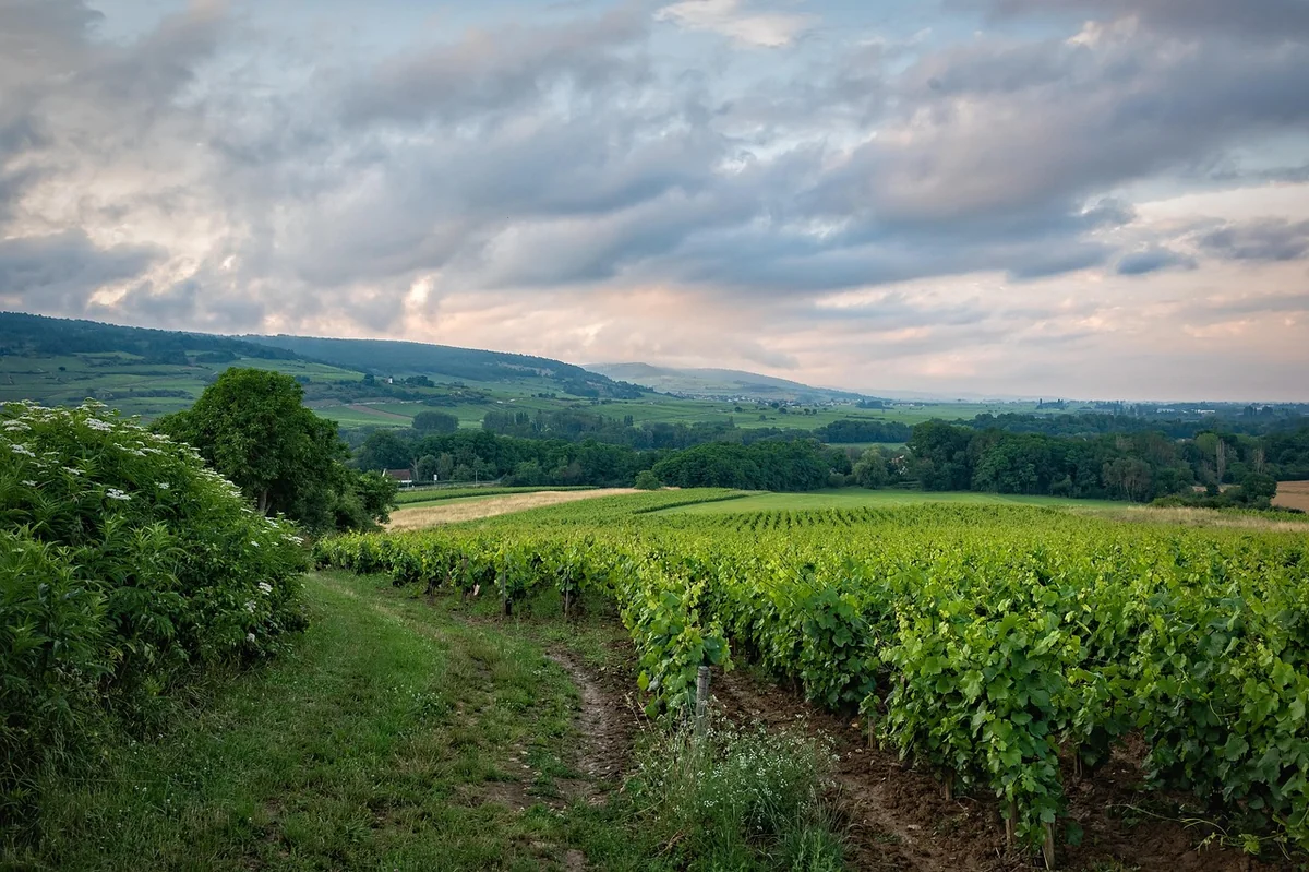 Visiter l'Auxois en 2026 : guide complet des incontournables à découvrir